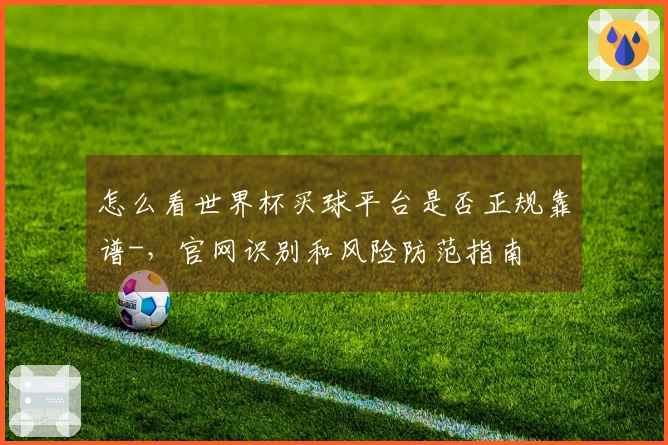 怎么看世界杯买球平台是否正规靠谱-，官网识别和风险防范指南