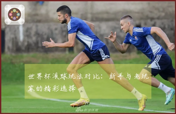 世界杯滚球玩法对比：新手与老玩家的精彩选择