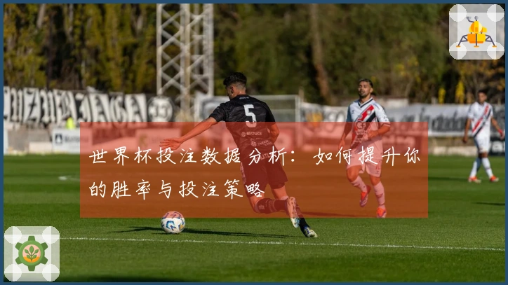 世界杯投注数据分析：如何提升你的胜率与投注策略