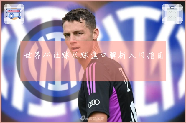 世界杯让球买球盘口解析入门指南