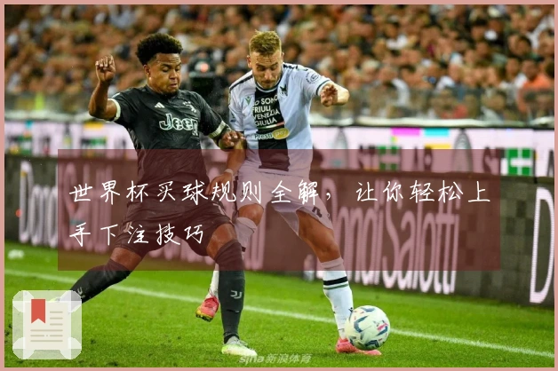 世界杯买球规则全解，让你轻松上手下注技巧