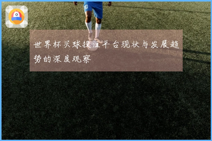 世界杯买球投注平台现状与发展趋势的深度观察