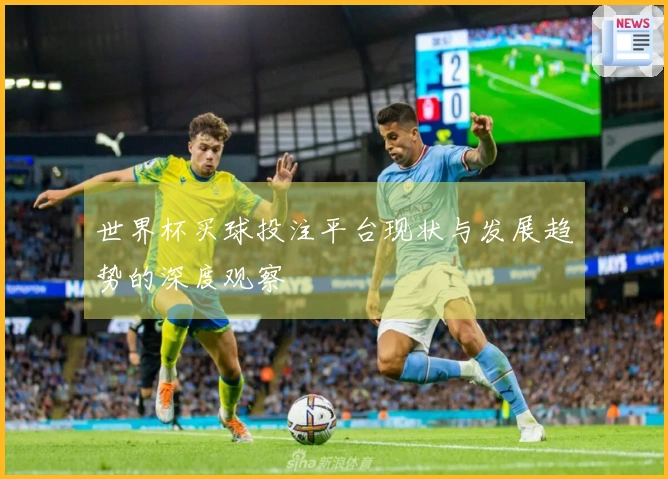 世界杯买球投注平台现状与发展趋势的深度观察