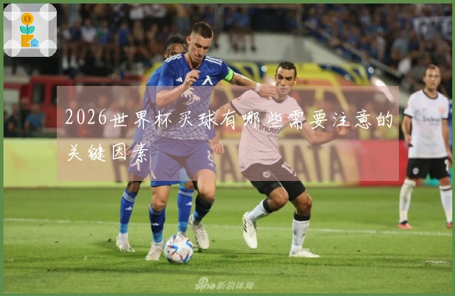 2026世界杯买球有哪些需要注意的关键因素