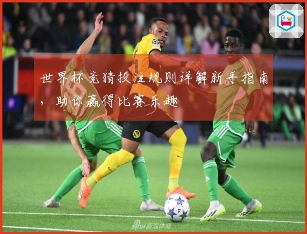 世界杯竞猜投注规则详解新手指南，助你赢得比赛乐趣