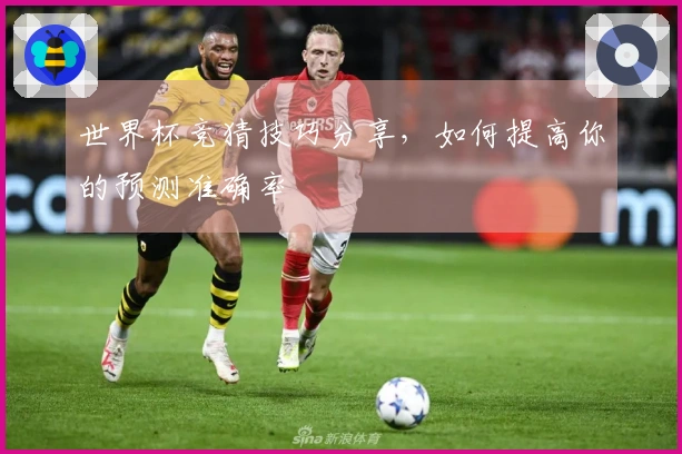 世界杯竞猜技巧分享，如何提高你的预测准确率