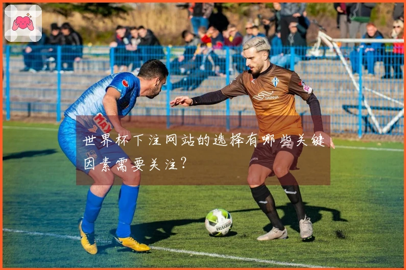 世界杯下注网站的选择有哪些关键因素需要关注？