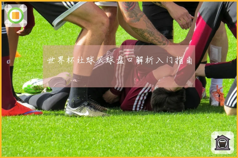 世界杯让球买球盘口解析入门指南