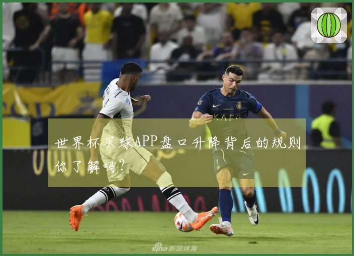世界杯买球APP盘口升降背后的规则你了解吗？
