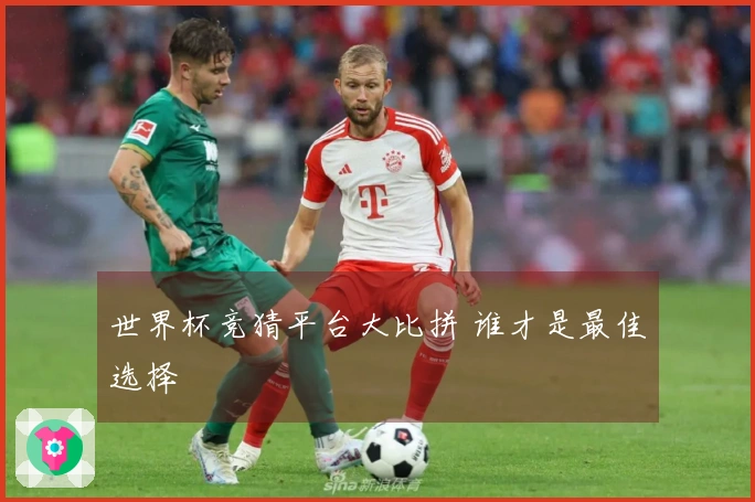 世界杯竞猜平台大比拼 谁才是最佳选择