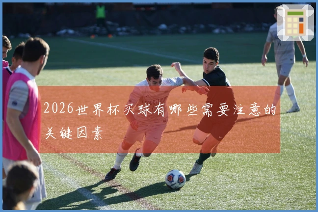2026世界杯买球有哪些需要注意的关键因素