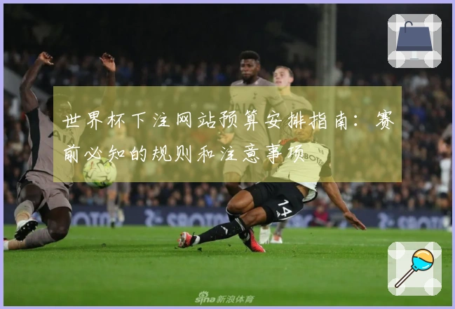 世界杯下注网站预算安排指南：赛前必知的规则和注意事项