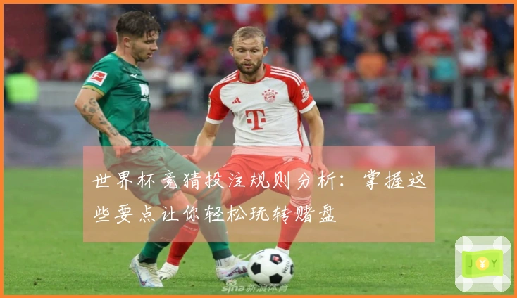 世界杯竞猜投注规则分析：掌握这些要点让你轻松玩转赌盘