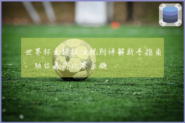 世界杯竞猜投注规则详解新手指南，助你赢得比赛乐趣