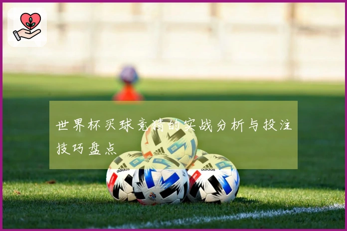 世界杯买球竞猜的实战分析与投注技巧盘点